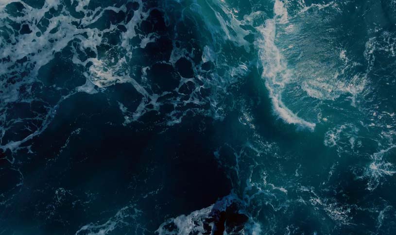 Xentria Launches Xturnpoint to Fuel Early-State Therapeutic Innovation